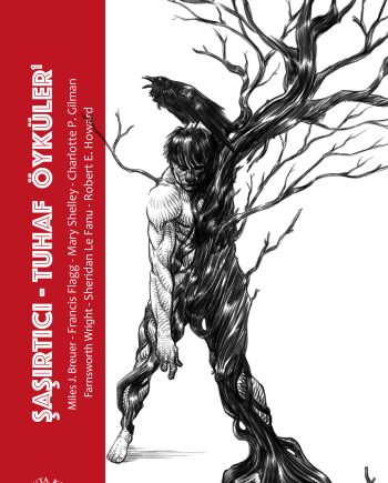 Şaşırtıcı-Tuhaf Öyküler 1