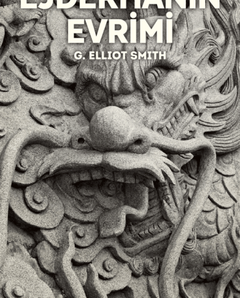 Ejderhanın Evrimi